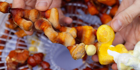 Reishi mushroom - fruiting body of medicinal fungi, used in traditional Chinese medicine.