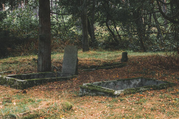 Łęsko - an old, post-German, abandoned cemetery hidden in the autumn forest.