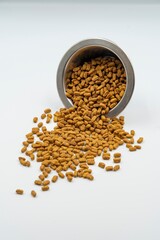 Dry food for domestic cats and dogs in a bowl on a white background