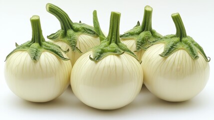 illustration of a white eggplant isolated on a white background eggplant