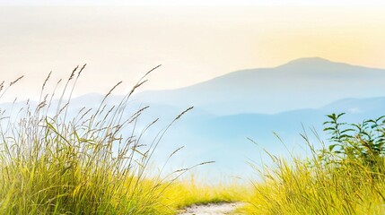 Fototapeta premium A path, lush with tall grass, leads up to towering mountains in the distance