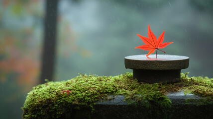 苔むした神社と賽銭箱に落ちた紅葉の静かな情景