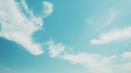 A group of people enjoying the outdoors by flying a kite on a sunny beach