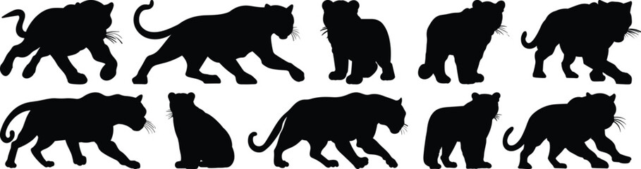 Panther silhouette set vector design big pack of leopard illustration and icon