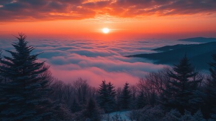 Obraz premium wintergreen virginia trees by apartment condo buildings at ski resort town village with clouds fog mist inversion in blue ridge mountains at dark sunrise