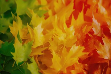 A close-up shot of a group of leaves