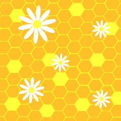 World bee day on 20th of May. Honeycomb, spring chamomile flowers.