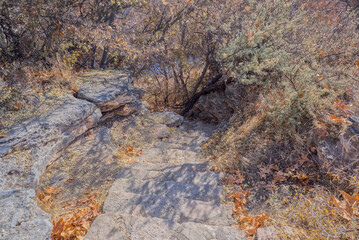Steps down to Wet Beaver Creek at Montezuma Well AZ