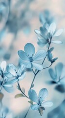 Delicate pastel blue flowers with soft background, nature serenity and tranquility concept
