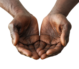 Gentle hands of an african american elder studio setting high fidelity capture emphasizing wisdom and experience isolated on transparent background png