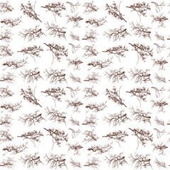 Seamless pattern. Tree branches on a white background. Vector illustration.