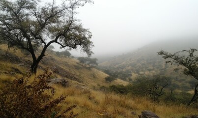 Fototapeta premium Morning fog rolls in over the hills near Cuernavaca, , serene landscape