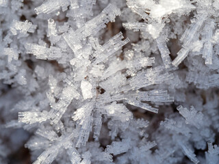 Ice crystals in a garden on a frosty morning