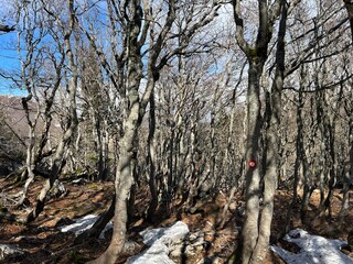 Mountaineering signs and climbing markings in the area of ​​the Northern Velebit National Park,...