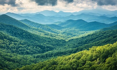 Rolling hills of forest covering mountain slopes with towering peaks, woodland environments, forests, trees