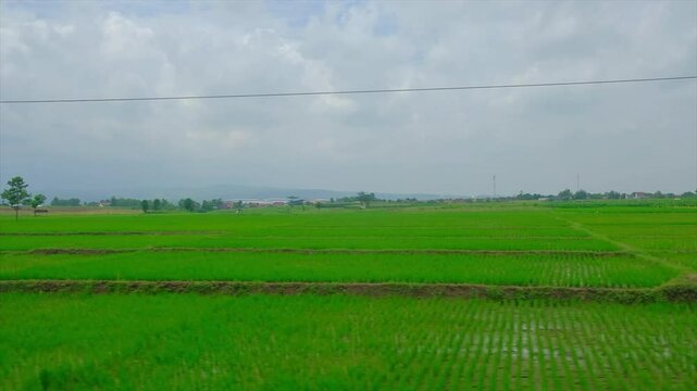 The view from inside the train shows views of rice fields and residential areas