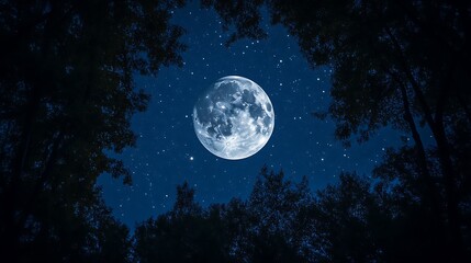 Naklejka premium Majestic Full Moon Illuminates Starry Night Sky Over Silhouetted Trees