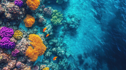 Obraz premium Top-down view of a coral reef with colorful marine life visible beneath crystal-clear waters