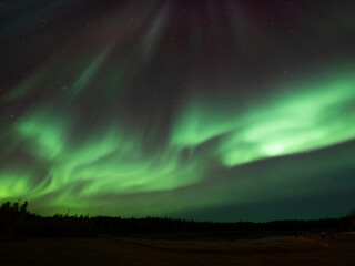 オーロラが綺麗な景色