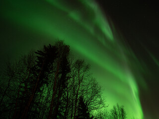 美しいオーロラが見えた日