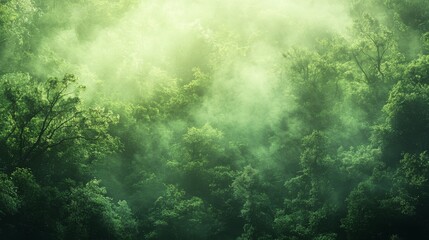 Obraz premium Ethereal emerald forest shrouded in mist illuminated by the radiant glow of the sun,s rays filtering through the canopy creating a captivating scene