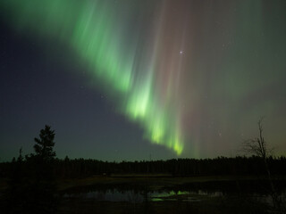 美しいオーロラが見えた日