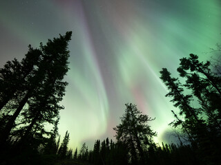 美しいオーロラが見えた日