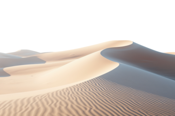 Sand dunes ripple under a clear sky in a secluded desert landscape during midday