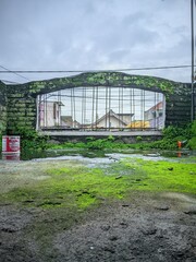 greenhouse with plants