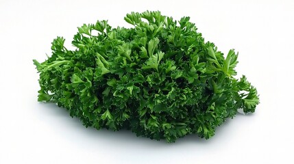 Fototapeta premium Fresh Flat Leaf Parsley Isolated on White Background for Cooking