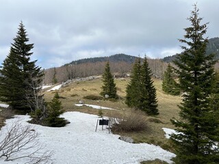 The last remnants of spring snow after a long and harsh mountain winter - Northern Velebit National...