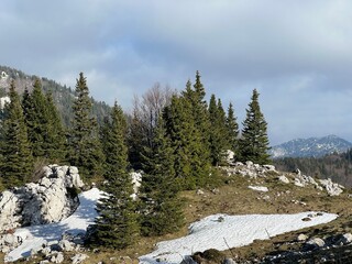 The last remnants of spring snow after a long and harsh mountain winter - Northern Velebit National...