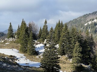 The last remnants of spring snow after a long and harsh mountain winter - Northern Velebit National...