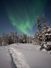 オーロラのある景色