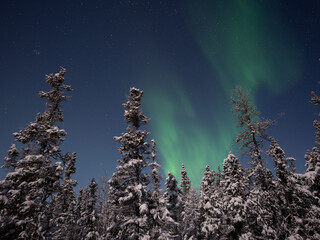 オーロラのある景色