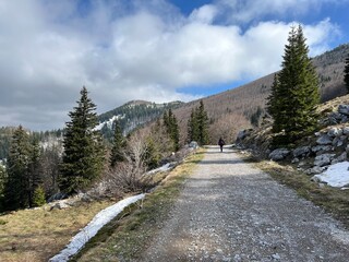 Early spring atmosphere and the last remnants of snow on the mountain road - Northern Velebit...
