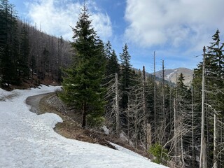 Early spring atmosphere and the last remnants of snow on the mountain road - Northern Velebit...