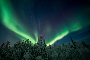 オーロラが綺麗な景色