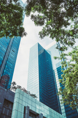 Modern glass skyscrapers framed by lush green tree branches. Urban architecture meets nature in harmony. Beautiful skyscraper low wide angle shot during Kuala Lumpur downtown walk, Malaysia.