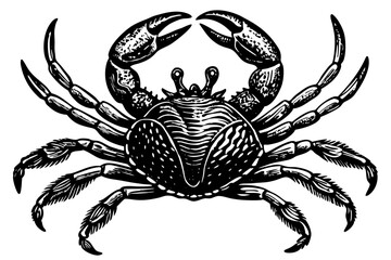 Beautiful crab vintage engraved vector art illustration