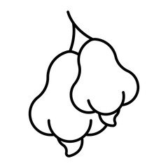 cashew outline icon