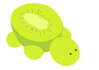 Obraz premium Kiwi Fruit Illustration