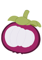 mangosteen fruit illustration