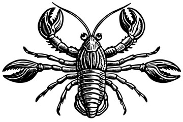 Beautiful Lobster vintage engraving illustration isolated on white background