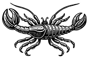 Beautiful Lobster vintage engraving illustration isolated on white background