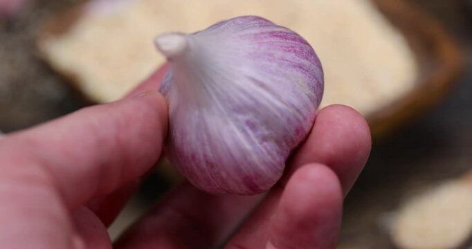 garlic fruits for cooking, dried spices from very small pieces of garlic fruits