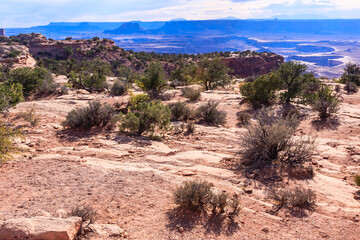 A desert landscape with a mountain in the background