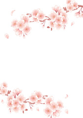 watercolor beautiful cherry blossom background illustration 7