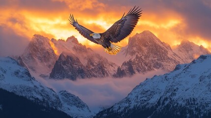 Majestic bald eagle soaring over snowy mountains at sunset