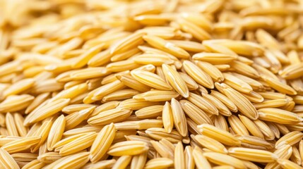 Obraz premium Sunlit Ripened Rice Grains Displaying Intricate Details in a Lush Background, Capturing the Essence of Nature's Bounty with Bright Daylight Glow